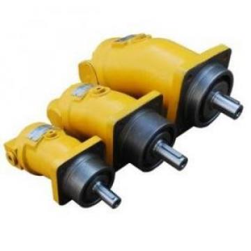 A2F10W4S1  A2F Series Fixed Displacement Piston Pump