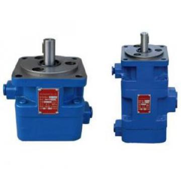 YB1 Type Double Vane Pump YB1-80/10