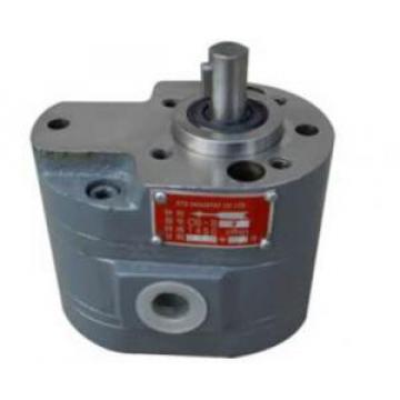 CB-B Dual Gear Pump