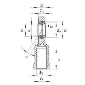 FAG Rod ends - GIL20-DO