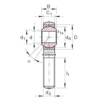 FAG Rod ends - GAKR10-PW