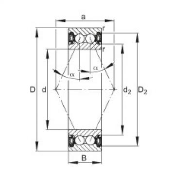 FAG Angular contact ball bearings - 3801-B-2RZ-TVH