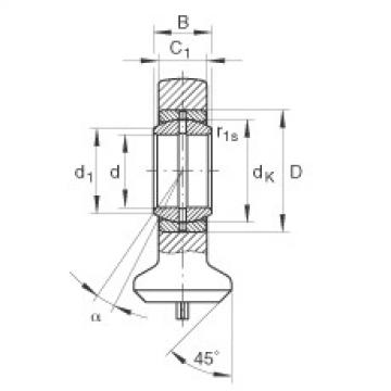 FAG Hydraulic rod ends - GK12-DO