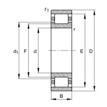 FAG Cylindrical roller bearings - N224-E-XL-TVP2