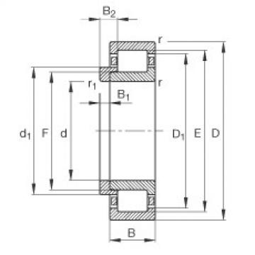 FAG Cylindrical roller bearings - NJ203-E-XL-TVP2 + HJ203-E