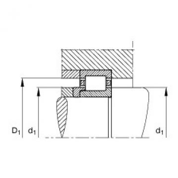 FAG Cylindrical roller bearings - NJ203-E-XL-TVP2 + HJ203-E