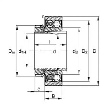 FAG Self-aligning ball bearings - 2209-K-2RS-TVH-C3 + H309