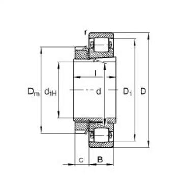 FAG Barrel roller bearings - 20313-K-MB-C3 + H313