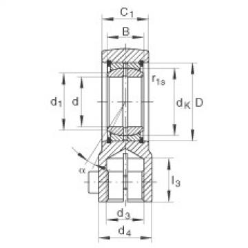 FAG Hydraulic rod ends - GIHRK25-DO