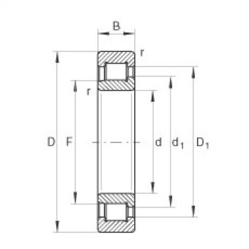 FAG Cylindrical roller bearings - SL192336-TB-BR