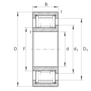 FAG Cylindrical roller bearings - ZSL192315