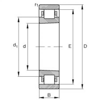 FAG Cylindrical roller bearings - N1014-K-M1-SP