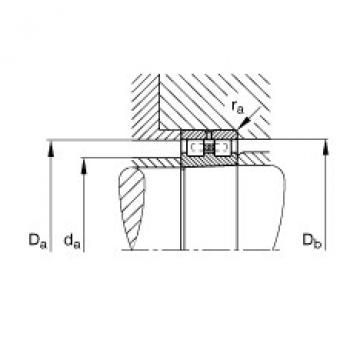 FAG Cylindrical roller bearings - NN3036-AS-K-M-SP