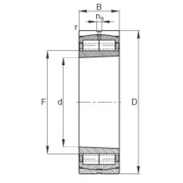 FAG Cylindrical roller bearings - F-800483.ZL-K-C5