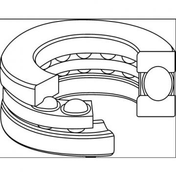 INA Schaeffler ZKLF3080-2Z-2AP