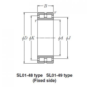 Bearing SL02-4944