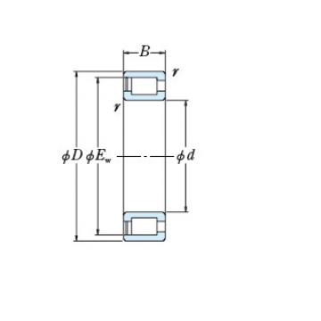 Bearing NCF1888V