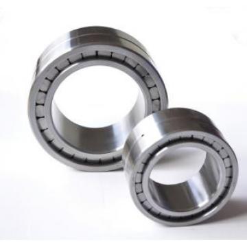 Bearing NNC4838V