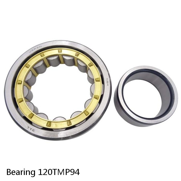 Bearing 120TMP94