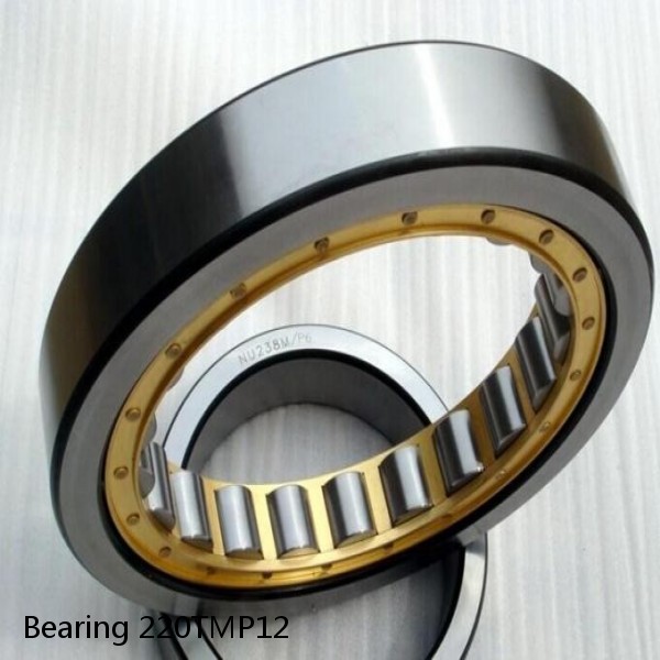 Bearing 220TMP12