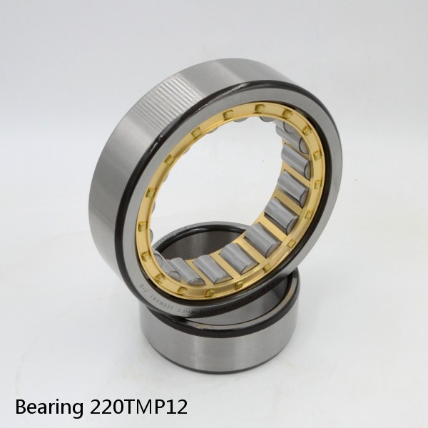 Bearing 220TMP12