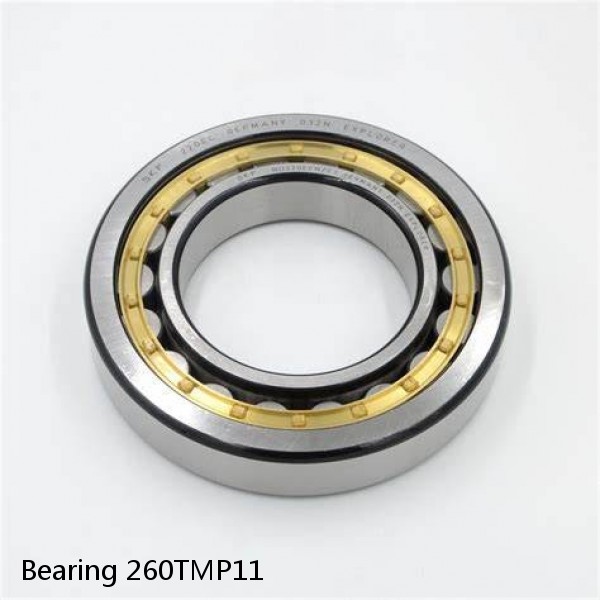 Bearing 260TMP11