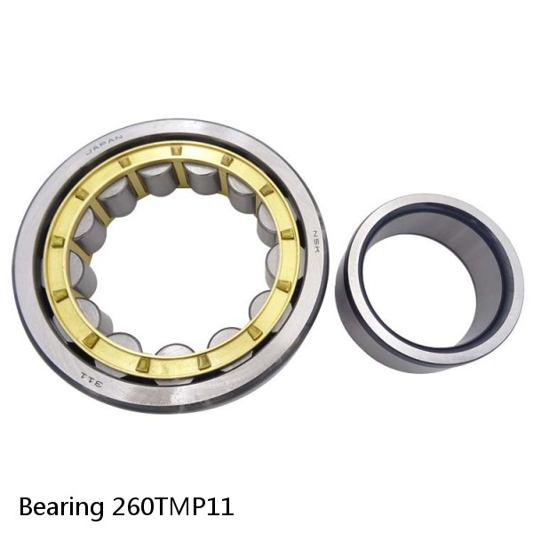 Bearing 260TMP11