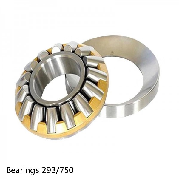 Bearings 293/750