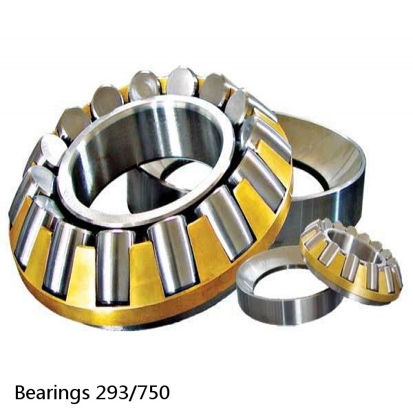 Bearings 293/750