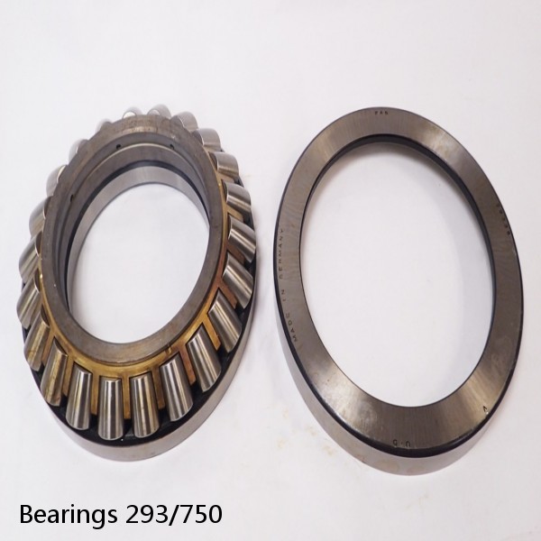 Bearings 293/750