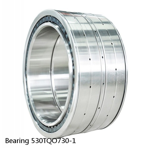 Bearing 530TQO730-1