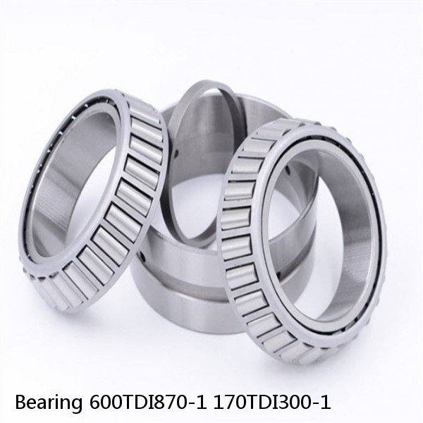 Bearing 600TDI870-1 170TDI300-1