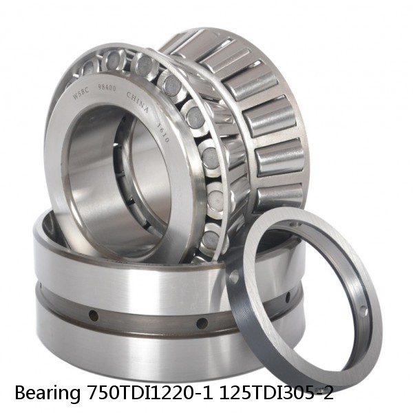 Bearing 750TDI1220-1 125TDI305-2