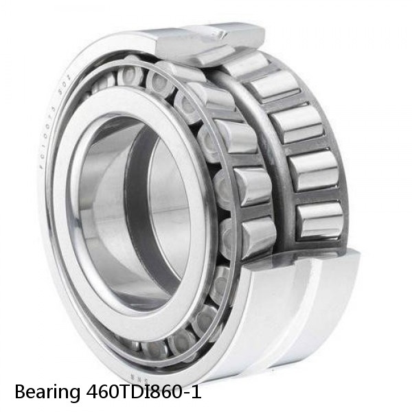 Bearing 460TDI860-1