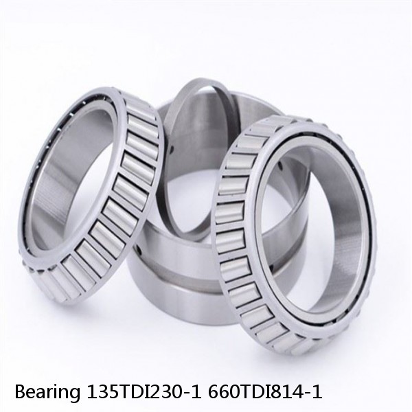 Bearing 135TDI230-1 660TDI814-1