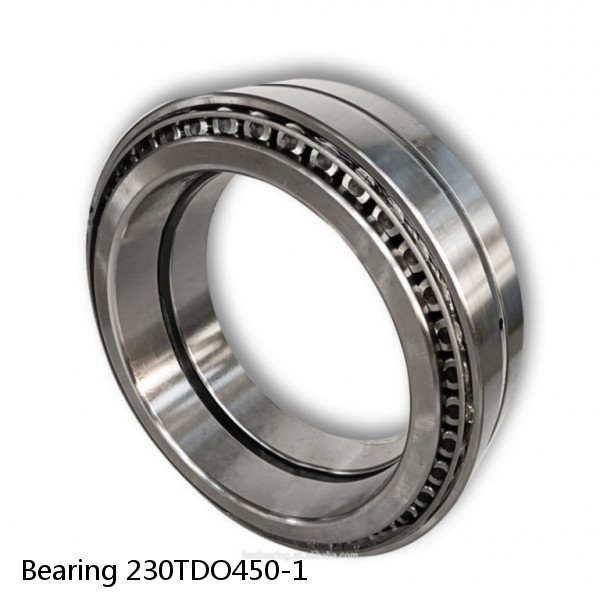 Bearing 230TDO450-1