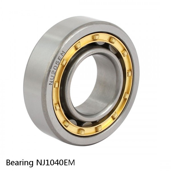 Bearing NJ1040EM