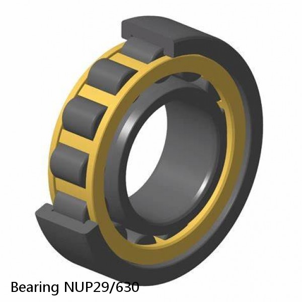 Bearing NUP29/630