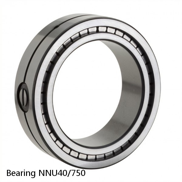 Bearing NNU40/750