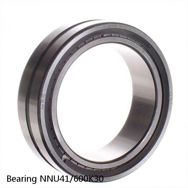 Bearing NNU41/600K30