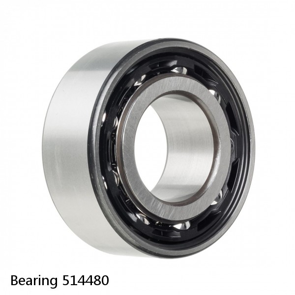 Bearing 514480