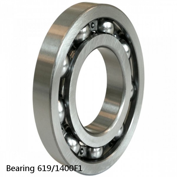 Bearing 619/1400F1