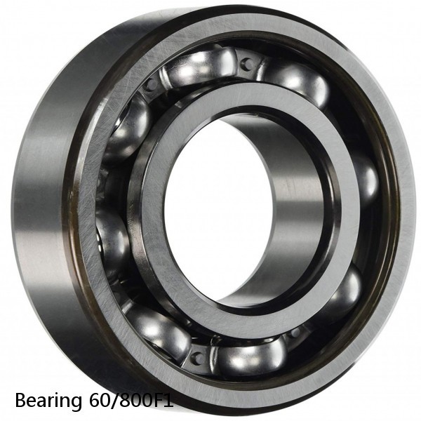 Bearing 60/800F1