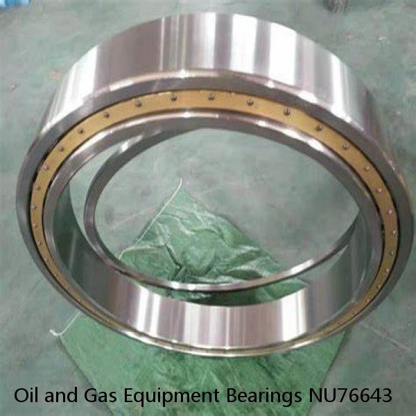 Oil and Gas Equipment Bearings NU76643