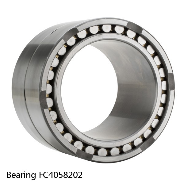 Bearing FC4058202