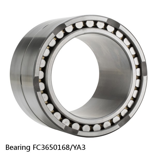 Bearing FC3650168/YA3