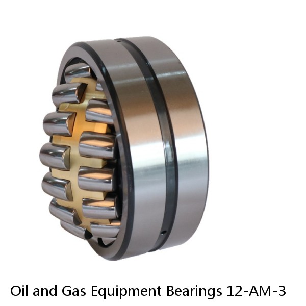 Oil and Gas Equipment Bearings 12-AM-3