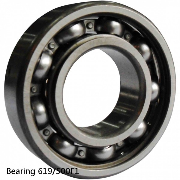 Bearing 619/500F1