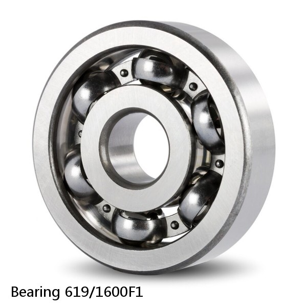 Bearing 619/1600F1