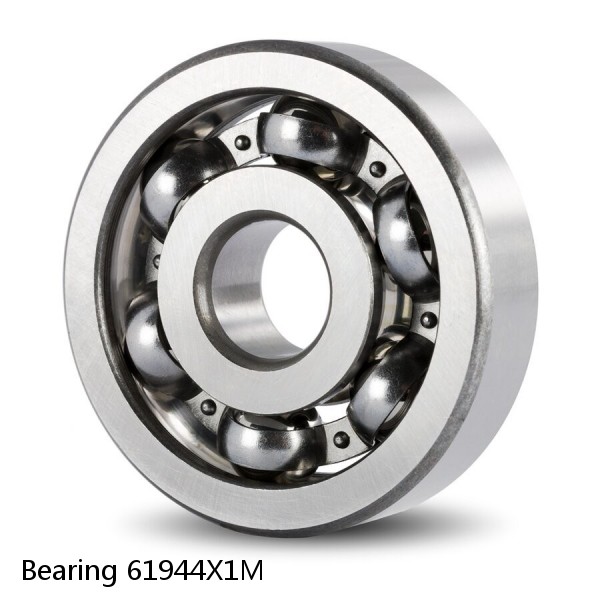 Bearing 61944X1M